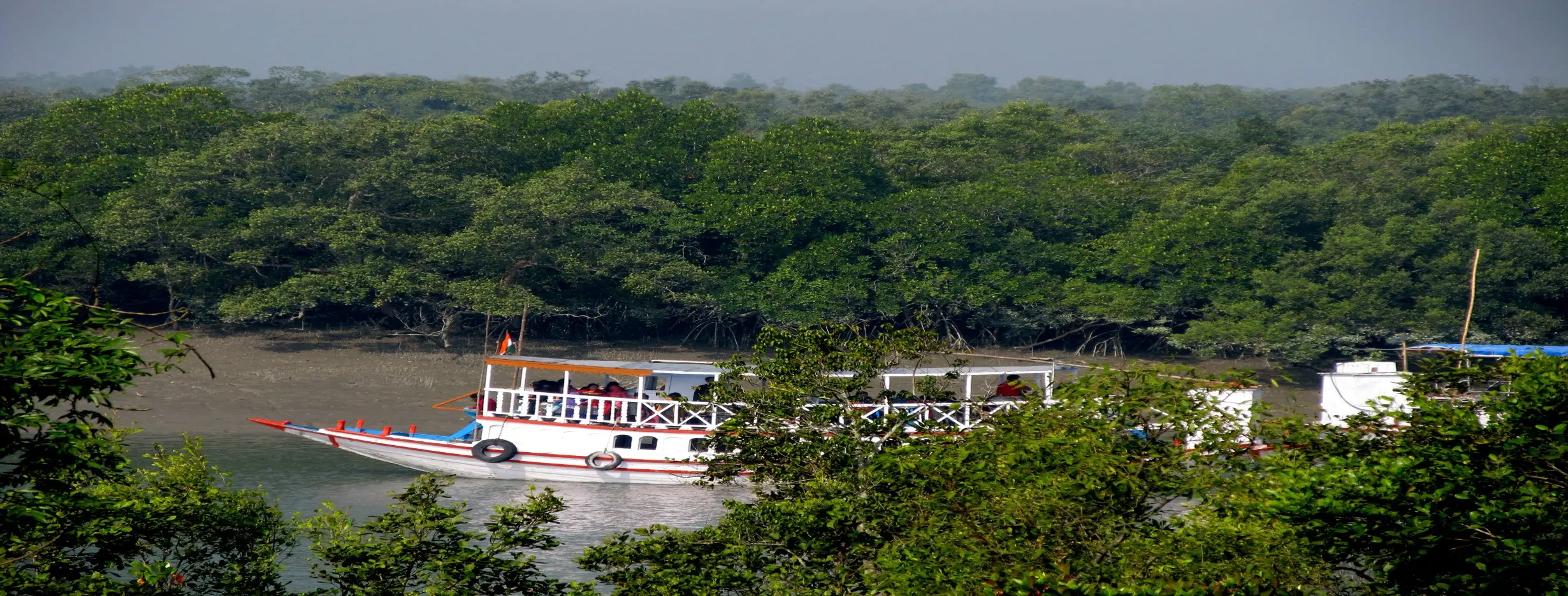 Image for Sundarbans Safari